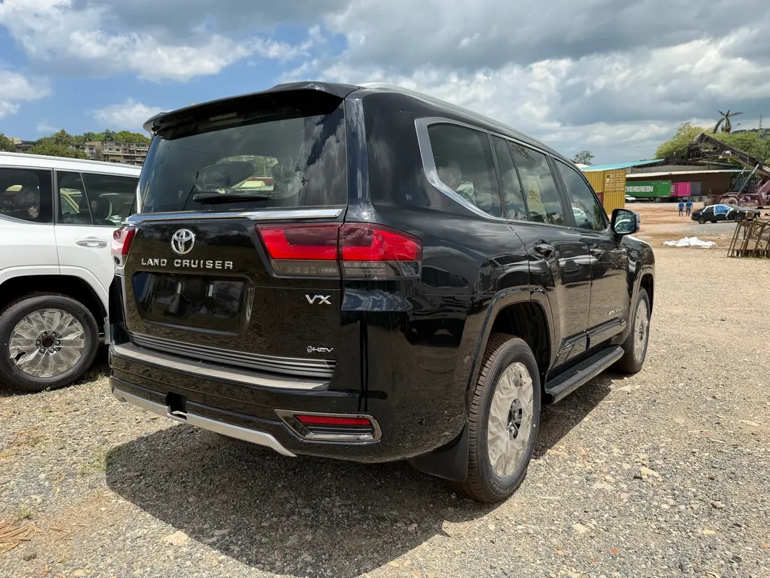 LAND CRUISER LC300 VX